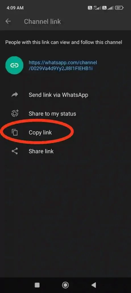 Red circle on copy channel link