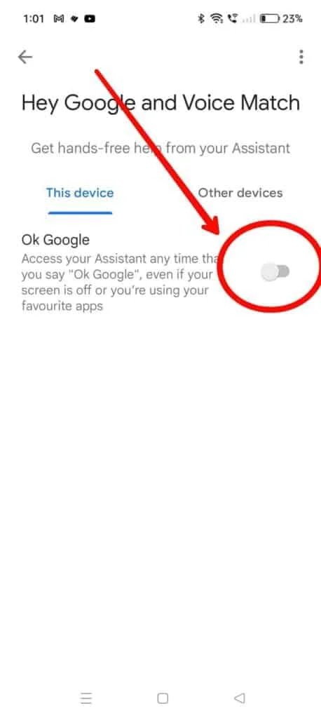Red marked on google assistant on and off button